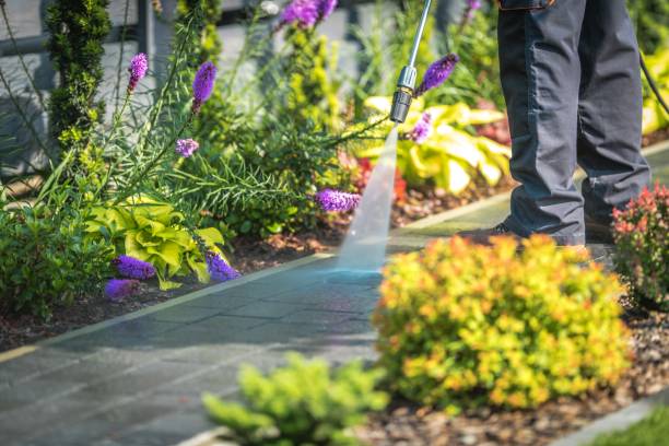 Best Roof Cleaning and Mildew Removal in Mascoutah, IL