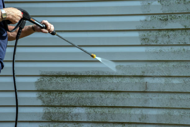 Trusted Mascoutah, IL Pressure Washing Services Experts