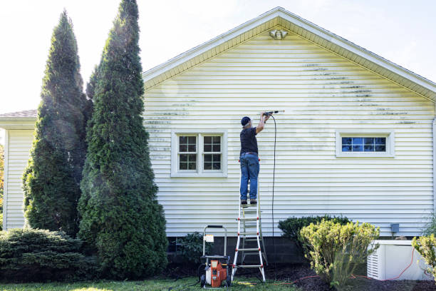 Best Sidewalk and Walkway Pressure Cleaning in Mascoutah, IL